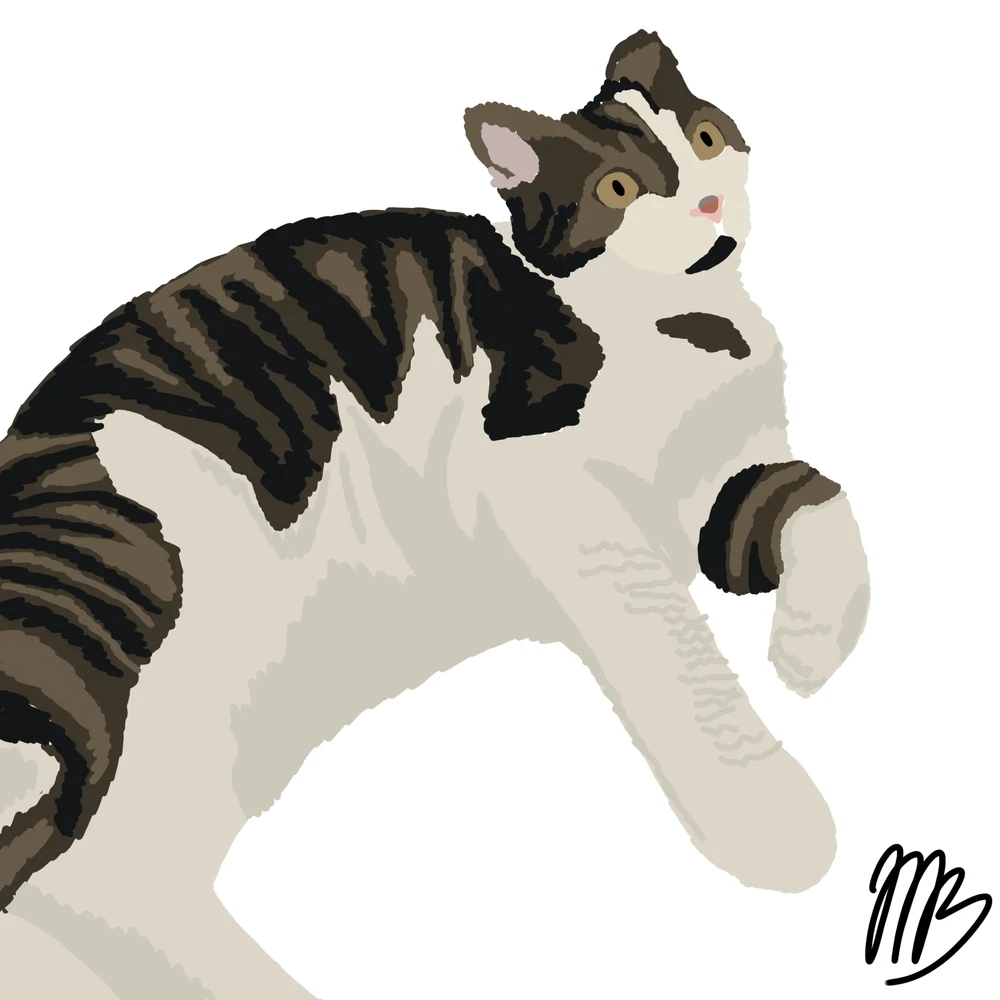Animals 2